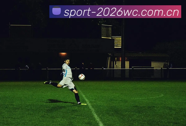 FIFA官方数据授权证书