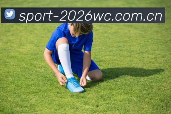 2026世界杯多终端预览